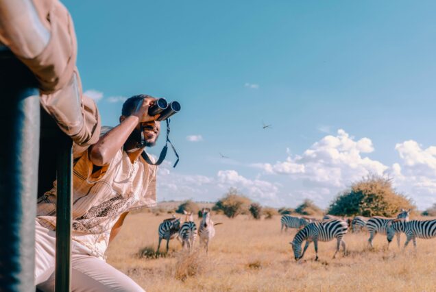 Buggy Safari